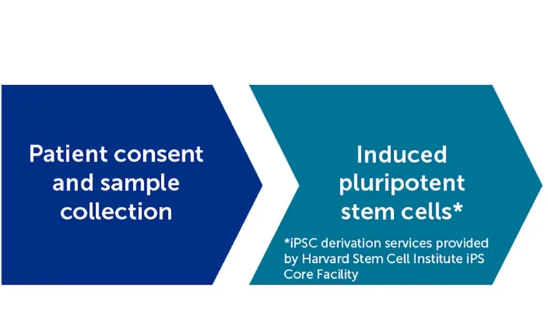 Patient consent and sample collection arrow to induced pluripotent stem cells from iPSC derivation services provided by Harvard Stem Cell Institute iPS Core facility.