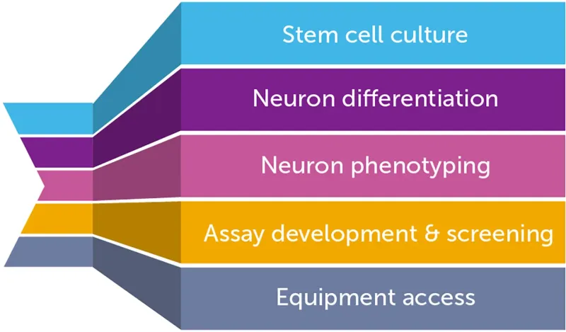 Stem cell culture, neuron differentiation, neuron phenotyping, assay development & screening, equipment access.