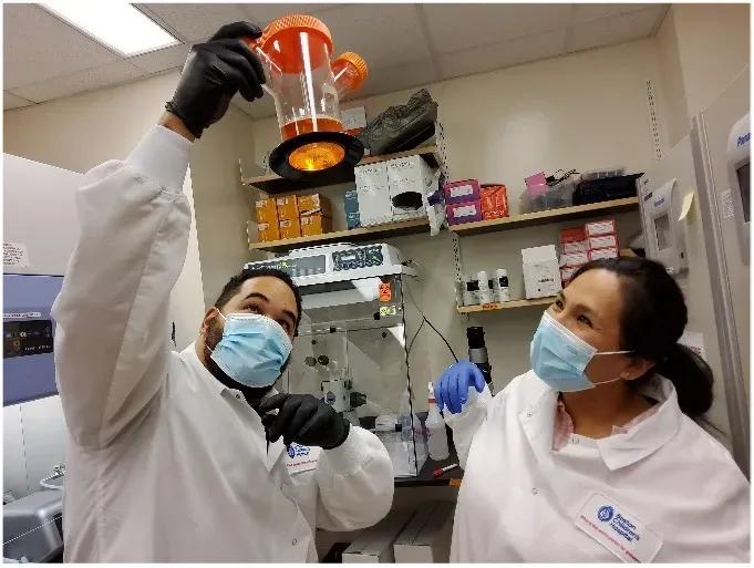 man and woman in white lab coats and blue face masks in a lab looking into a orange and clear container.