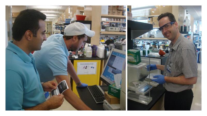 Composite image of former Beggs Lab members at work in the lab.