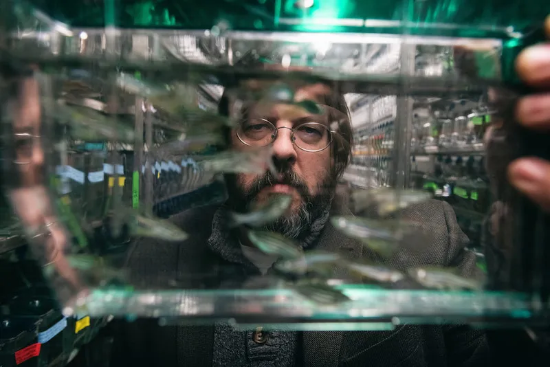 Matthew Harris looking through a tank of flying fish. 