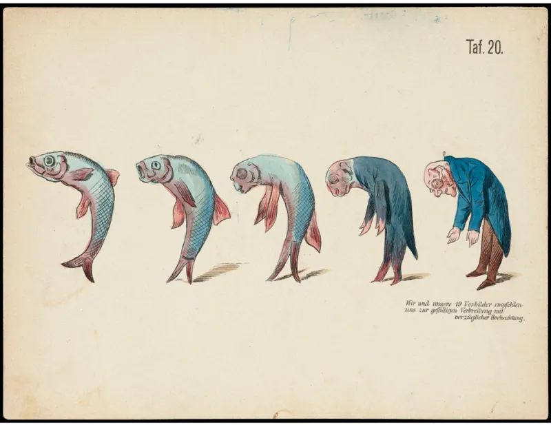 A drawing of a fish evolving into a stooped old man in five figures.