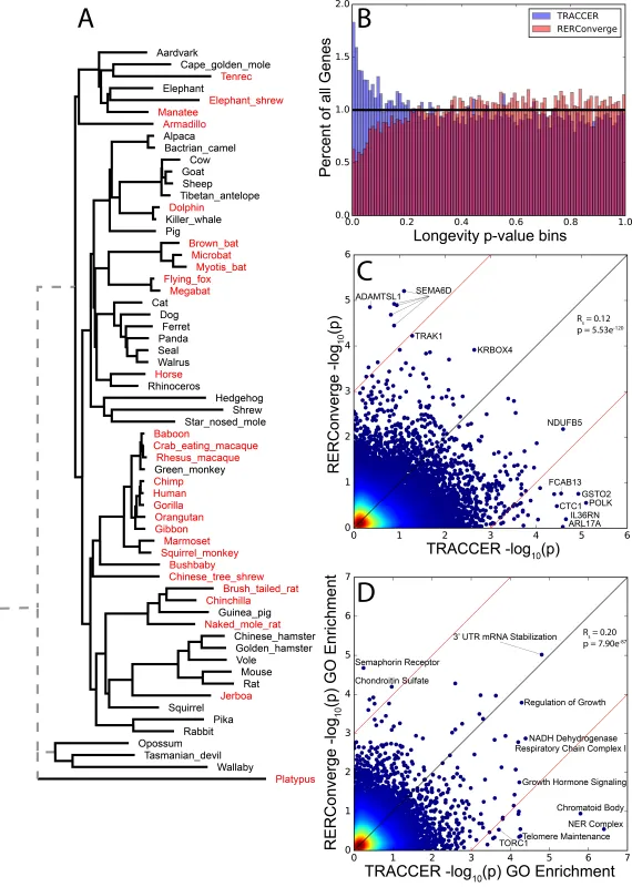 decorative image of TRACCER example.