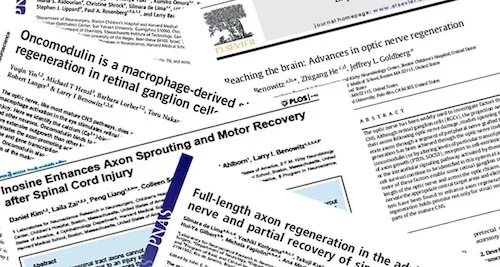 Five pieces of paper with publications