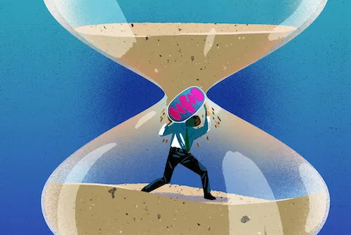A man in a hourglass holding a mitochondria to block falling sand