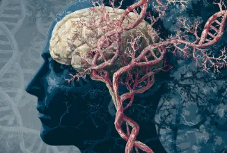 Illustration of a human profile showing a brain connected to branching structures that form a DNA helix.