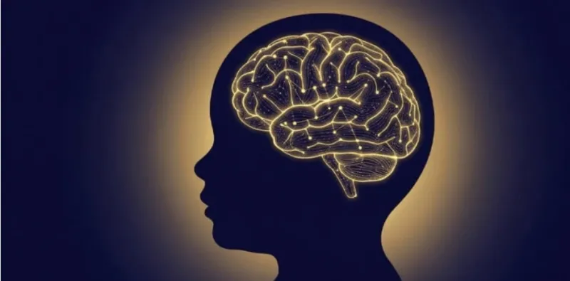 Illustration of a human head silhouette with a glowing brain highlighted inside