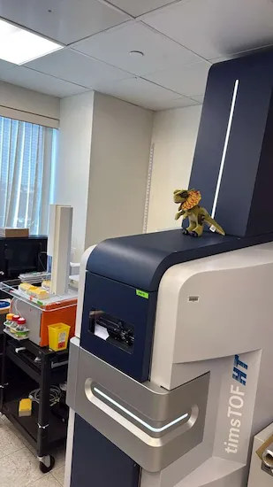 Balto timsTOF HT mass spectrometer