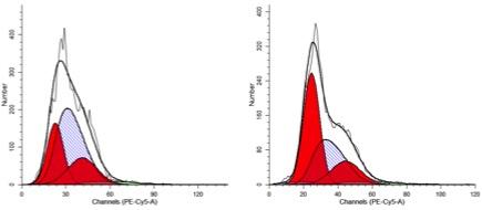 two graphs with red and purple hills showing 7AAD Cell Cycle Flow Cytometry