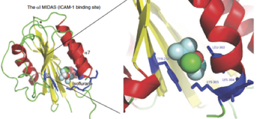 Yuki Lab Figure 1