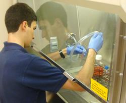 A man wears blue gloves as he reaches under a glass cabinet to conduct an experiement.