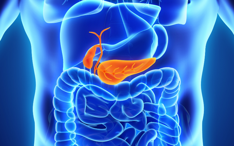 An x-ray image of the inside of a body's stomach, showing the outline of the intestines and the area of diabetes highlighted in orange.