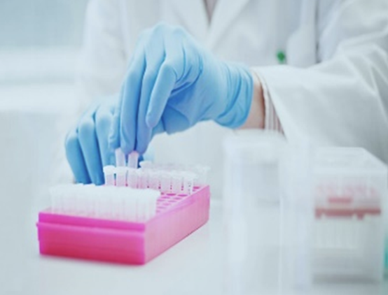 A scientist out of frame puts test tubes into a pink box.