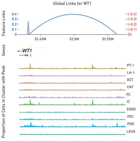 The top plot shows links connecting regulatory elements and their potential target genes determined by the correlation between the gene expression and regulatory element activities across the cell. Correlation strength is shown as link heights in the y-ax