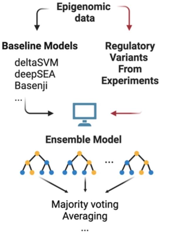 A diagram shows the workflow of ensemble model building. Starting with Epigenomic data, baseline models, such as deltaSVM, deepSEA, and Basenji, are built. The data are also used to identify regulatory variants. These two components are used to build ense