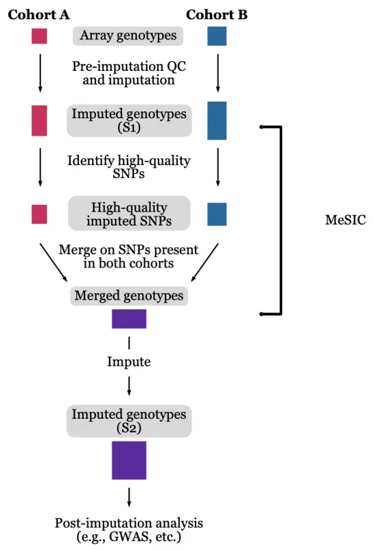 Cohort A and Cohort B flow chart graph that describes the two different ways to get to imported genotypes.
