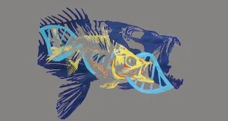 fish skeleton with a smaller fish overlaid and a DNA symbol in the middle.