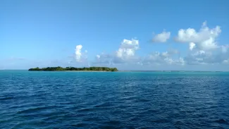 A large expanse of sea with Crisp island in the middle.