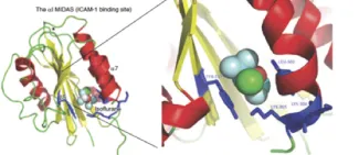 Yuki Lab Figure 1