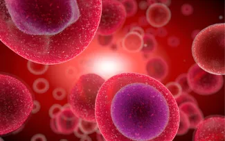 A blown up image of blood cells.