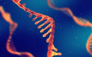 Magnified image of congenital and genetic orders in orange on a royal blue background.