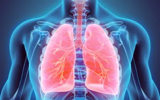 A blue skeletal x-ray image with the lung highlighted in bright pink.