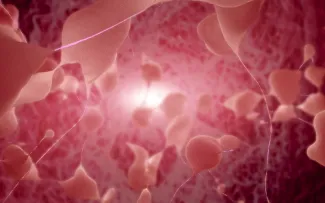 Blown up image of neurological synapsis.