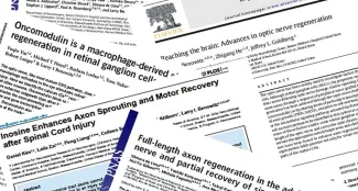 multiple pieces of paper with published science articles 