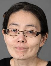 Machiko Minegishi, MD, MPH, MSW