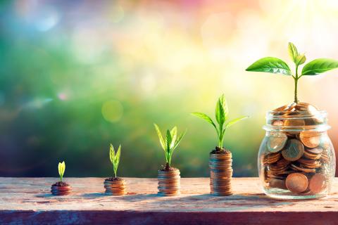 Jar of pennies with plant growing out of top; stacks of pennies with plant on top