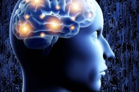 human brain with neurons firing